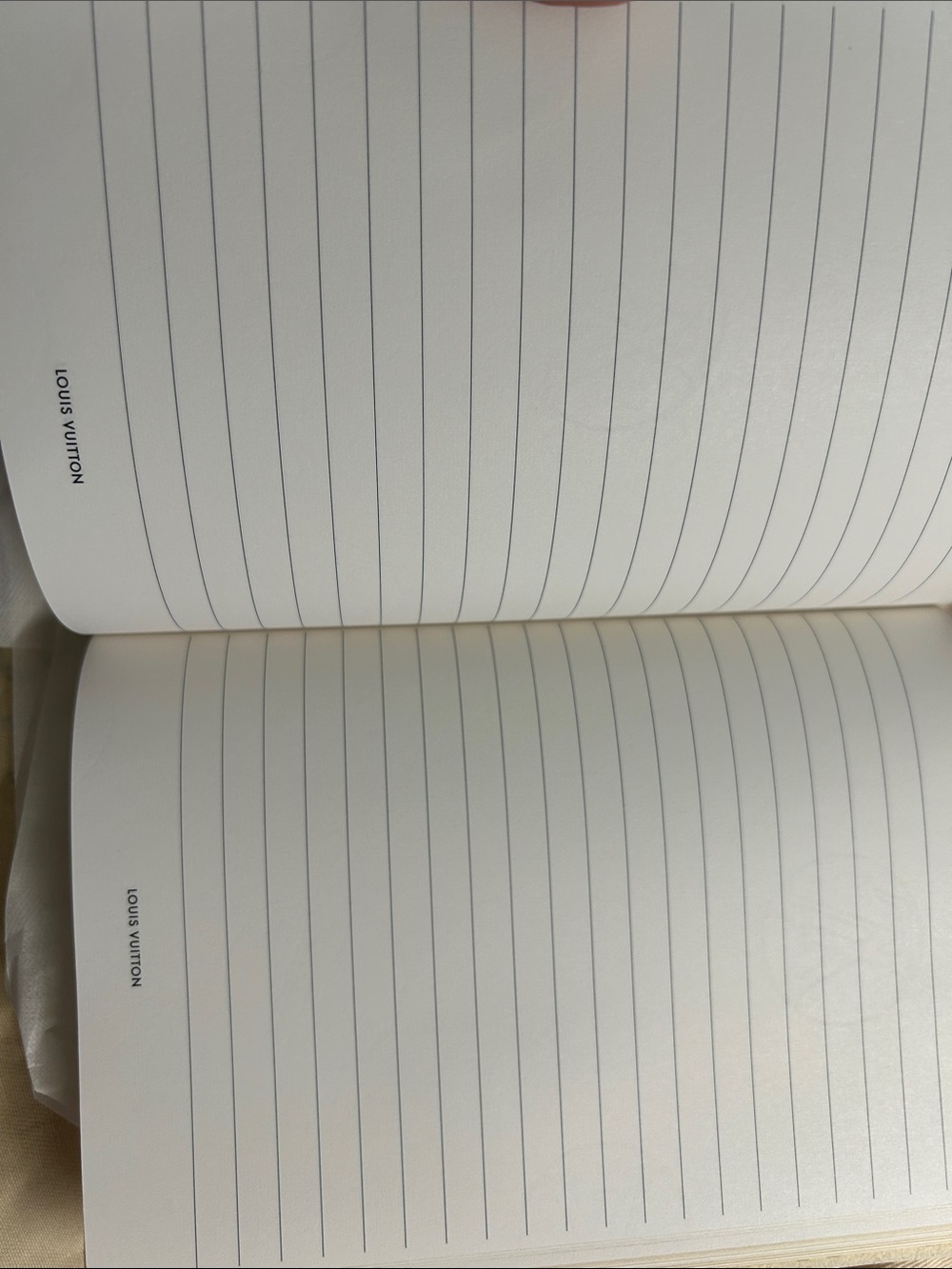 Louis Vuitton Gustave Giant Monogram Notebook - Picture 6 of 6